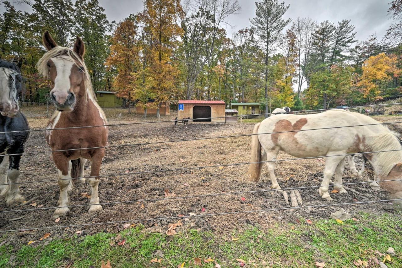 Cheyenne Ranch Apt With 50 Acres By Raystown Lake Huntingdon Dış mekan fotoğraf