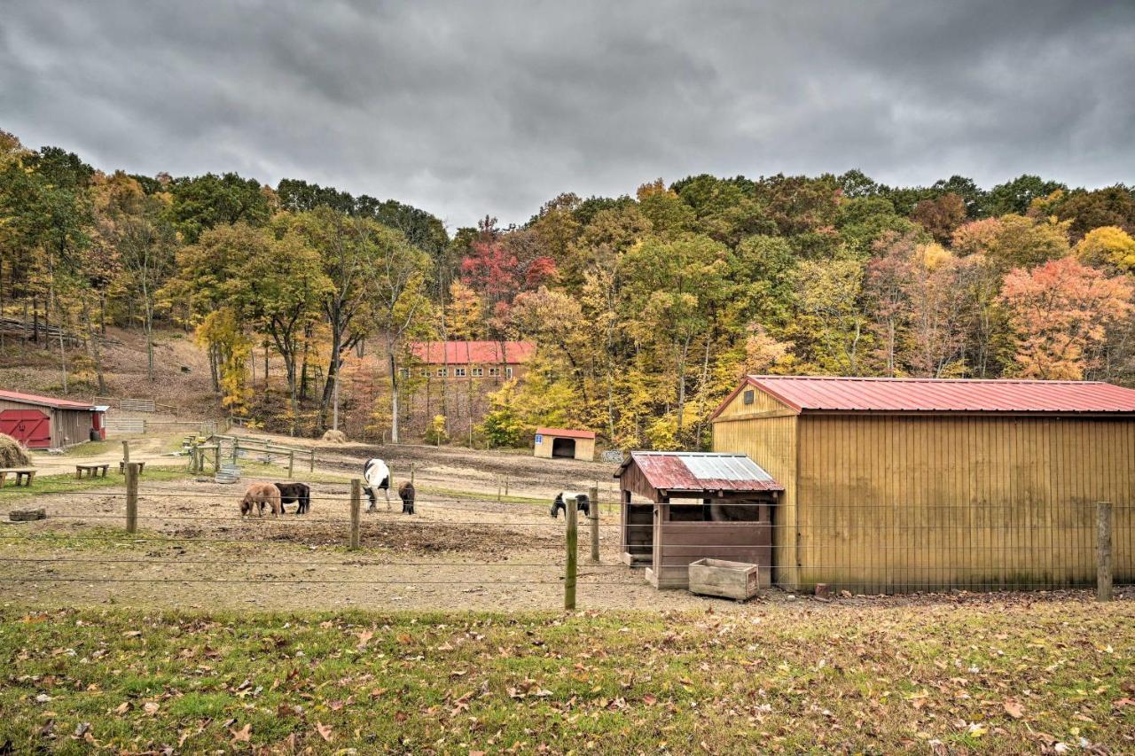 Cheyenne Ranch Apt With 50 Acres By Raystown Lake Huntingdon Dış mekan fotoğraf