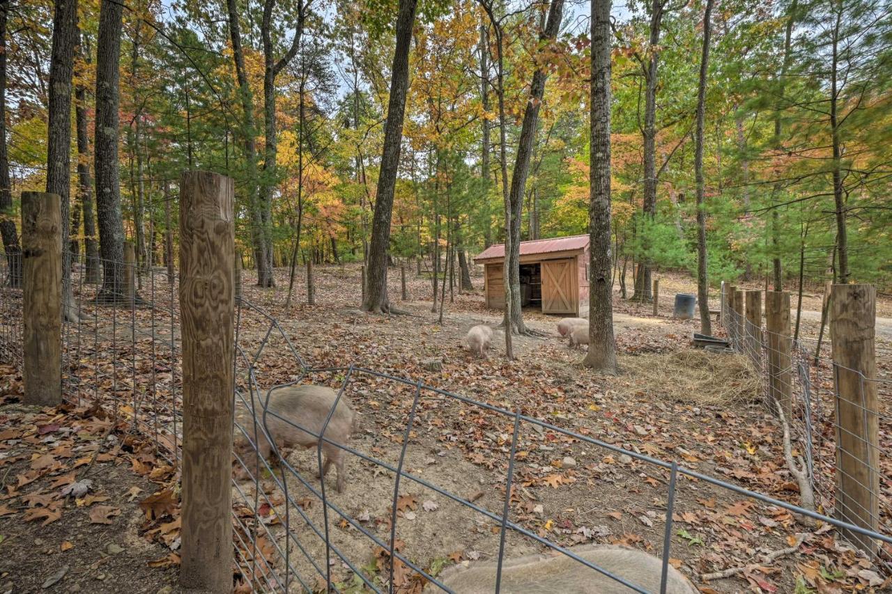 Cheyenne Ranch Apt With 50 Acres By Raystown Lake Huntingdon Dış mekan fotoğraf